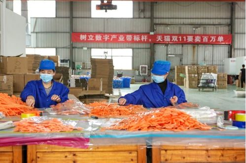天貓雙11開門紅 產業帶廠貨成交額同比激增1700%，餐飲服務迎來消費新熱潮